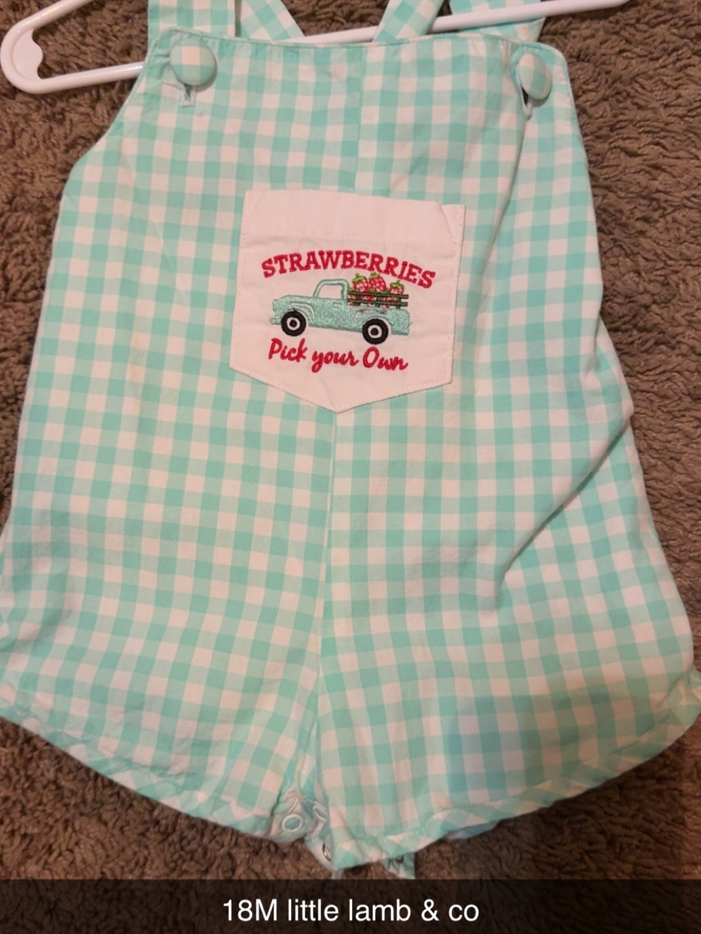 Mint Gingham Strawberry Overalls - Kids Pajamas